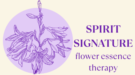 spirit signature flower essence therapy (5)